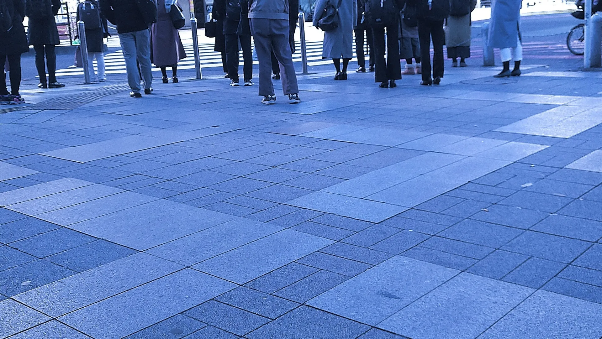 周囲の状況を含めた総合的な素行調査